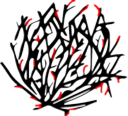 Scion Scourge