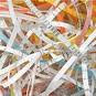 Shredding Our Credit Cards
