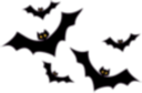 Bat Swarm
