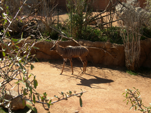 DSCN2506.JPG