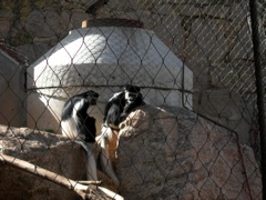 DSCN2516.JPG