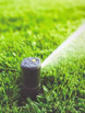 Sprinkler Head